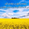 انرژی مثبت