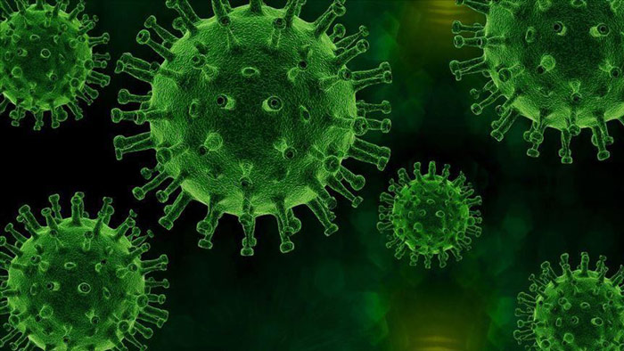 شباهتها و تفاوتهای بین کرونا و آنفولانزا
