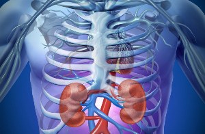پیشگیری از سنگ کلیه به کمک طب سنتی