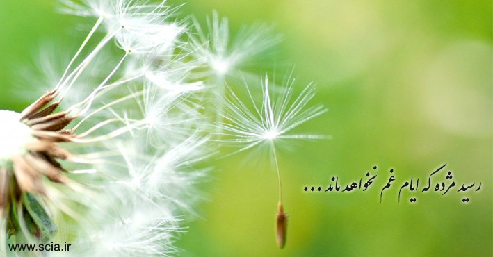 اسلایدر